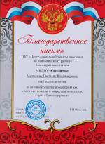 Медведева С. В. Портфолио достижений и наград